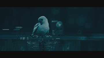 The Killers- "In Another Life"