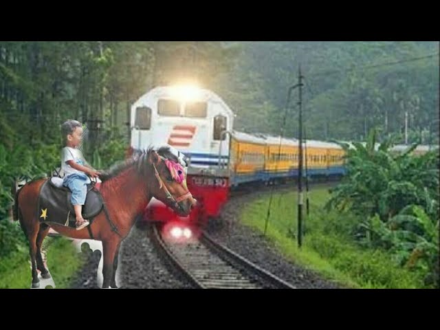 Naik Kereta Api | Naik kuda | Lagu Anak Indonesia | Naik Delman|Kuda | Lagu Anak class=