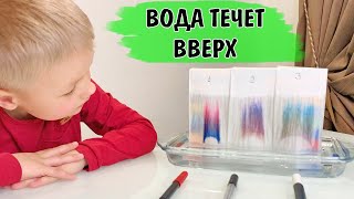 ХРОМАТОГРАФИЯ. Физический опыт для детей