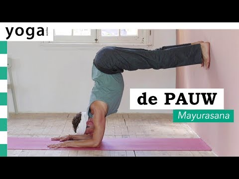 Hoe doe je… de Pauw + Halve Pauw (Mayurasana)? | Yoga Magazine