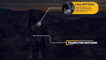 Call Out Titles Premiere Pro Templates