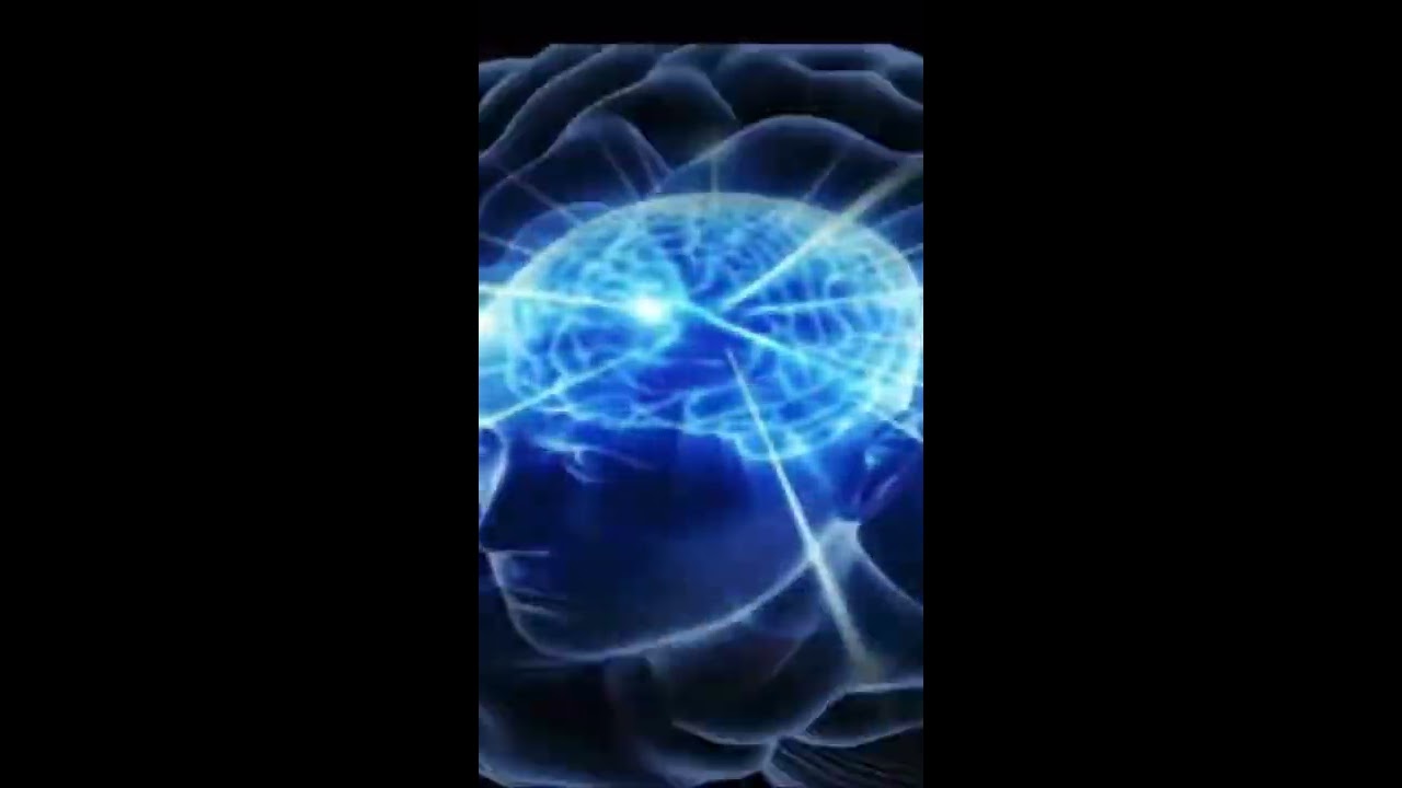 Galaxy Brain Meme Clip Bigbrain