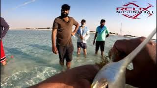 Field Test Relix Nusantara Rotan II 743 | Western Region UAE | 3-Sections Ultralight fishing