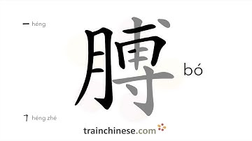 How to write 膊 (bó) – arm – stroke order, radical, examples and spoken audio