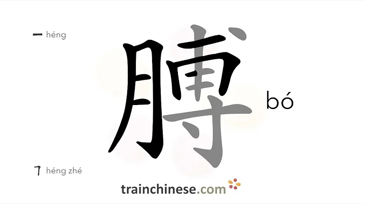 How to write 膊 (bó) – arm – stroke order, radical, examples and spoken audio