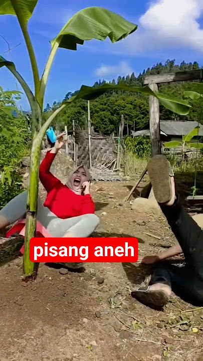 pisang aneh #gemoy #sawah #bodorsundaterbaru #funny #cinematiksawah