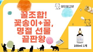 ��명절 선물 추천! 경신바이오 꽃송이  천연 꿀  영양제 꿀조합!