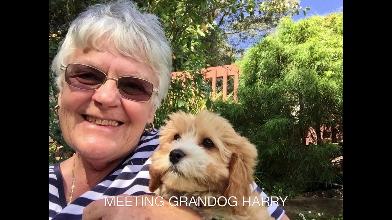 2014 Moss Vale to Melbourne YouTube