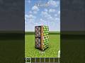 How to Make Door 🚪#shorts #minecraft