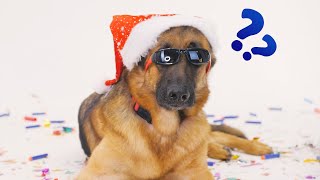 С НОВЫМ ГОДОМ! Премьера клипа. Мой первый клип С НОВЫМ ГОДОМ! Премьера клипа. Мой первый клип