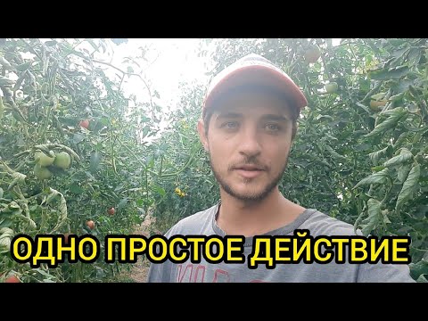 Увеличиваю на 20-30% продажи используя этот прием