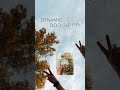Dynamic Doodle Co: Holiday Launch coming 11/18/25 #dynamicdoodleco