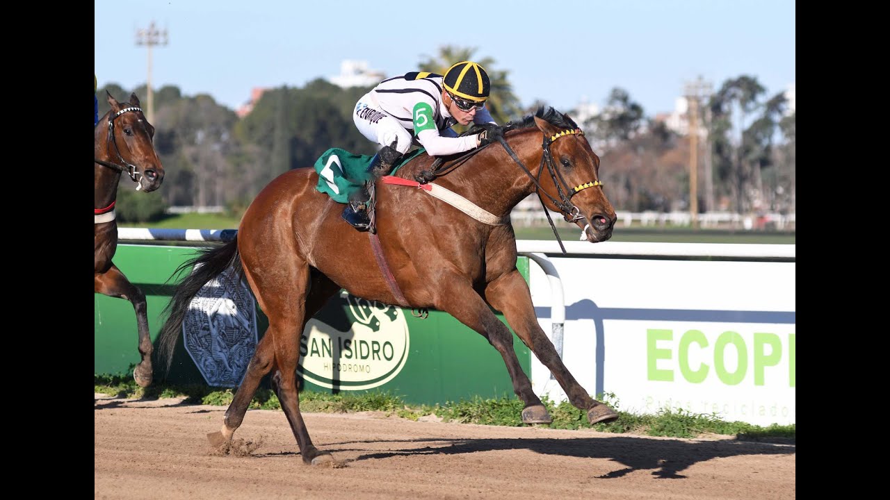 Классический изысканный тон (L) 2025 — Say It Fast (Cosmic Trigger)