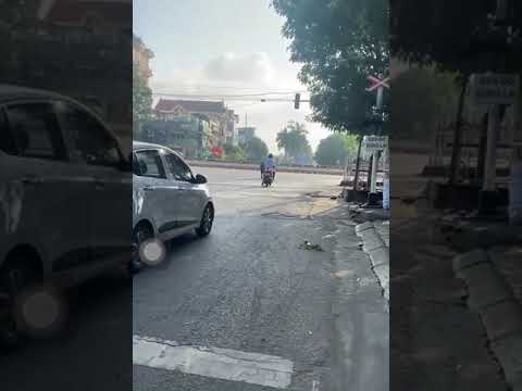 Video #SHORTS trâu điên húc nát xe của ninja lead - youtube