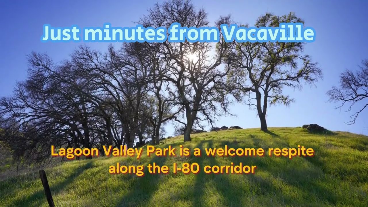 Vacaville in Solano County Lagoon Valley Park 😎😀😲