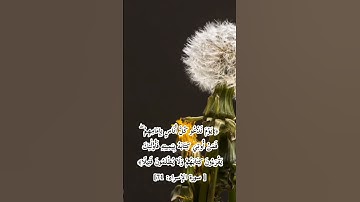 تلاوة من سورة الإسراء بصوت الشيخ المنشاوي #قرآن #قران_كريم #ماهر_المعيقلي #ياسر_الدوسري #المنشاوي