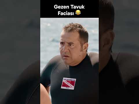 Gezen Tavuk Faciası