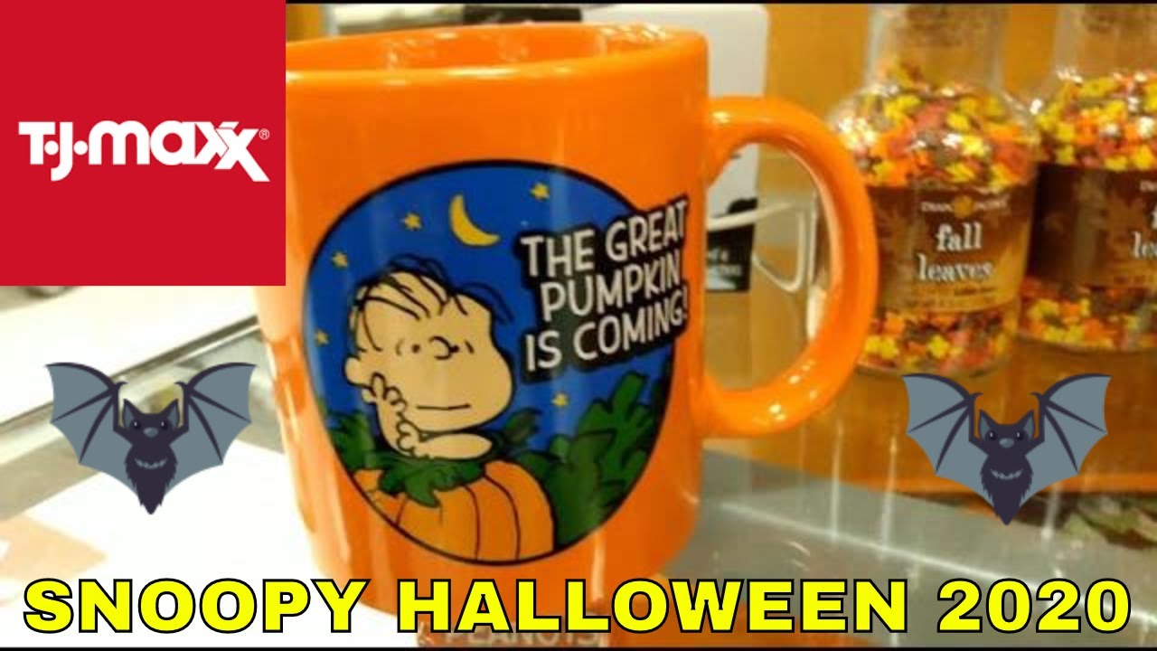 Snoopy Halloween Items At Tj Maxx August 27 Youtube