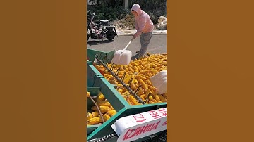 New corn threshing machine, large corn threshing machine "fully automatic corn threshing machine" .
