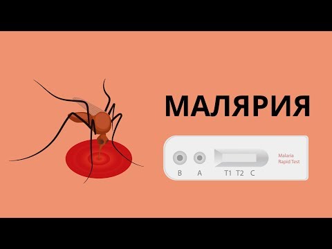 Малярия возбудитель, симптомы и метод экспресс диагностики