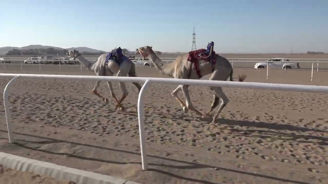 ٢- غزوان لـ طلال طعيميس العرماني