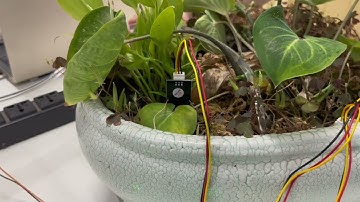 Hệ thống tưới cây tự động sử dụng ESP32 , Nodered dashboard và MQTT