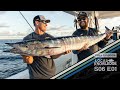 Local knowledge s6e1 wahoo or bust