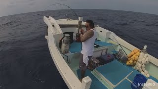 Yellowfin Tuna Fishing Okinawa Japan