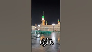 طه | القارئ حسين هلال