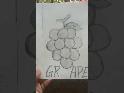 banana and grapes drawing