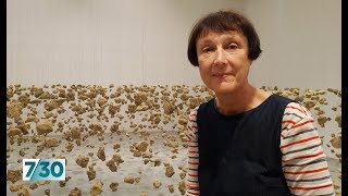 British artist Cornelia Parker talks about her work 7 30