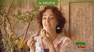 Ogni erba che guarda in su ha la sua virtù: Salvia, puntata 5 - 30.06.2017