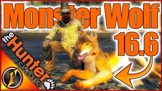 MONSTER Wolf on Timbergold Trails! + More for Our Lodge! | theHunter Classic