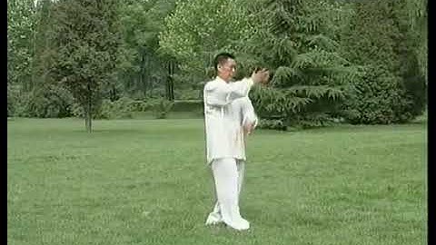 Liang Shi Bagua 8 Linear Palms Full Demo