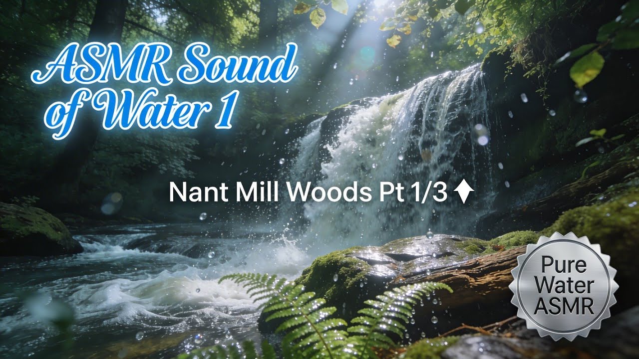💧 4K ASMR | The Sound of Water 1 [Nant Mill Woods Pt 1/3] 🌿