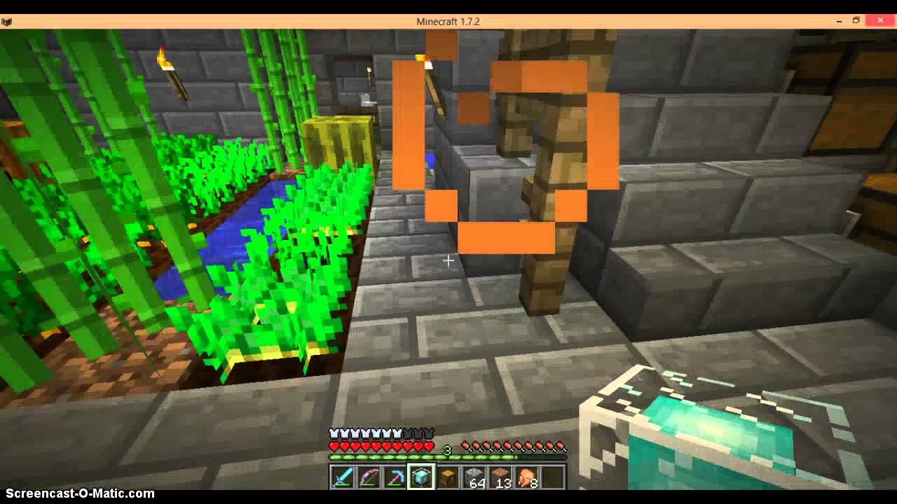 Minecraft Tutorials: A Miner's Life ep 13 WITHER