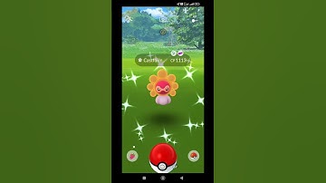 Whattttt!!😱 How?? What Kind Of Glitch This Is?? #shorts #pokemongo #shinycastform #pokeratzzz