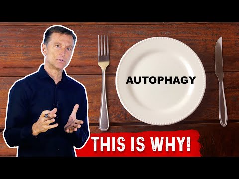 The REAL Reason Why Autophagy Exists