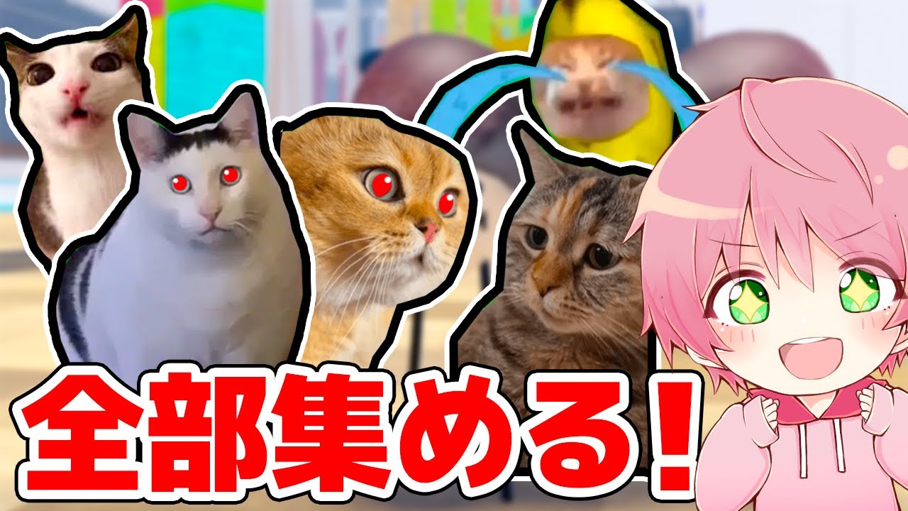 猫ミーム Amazon.co.jp: iPhone 14 El Gato 海賊猫 ミーム 悲しい泣き猫