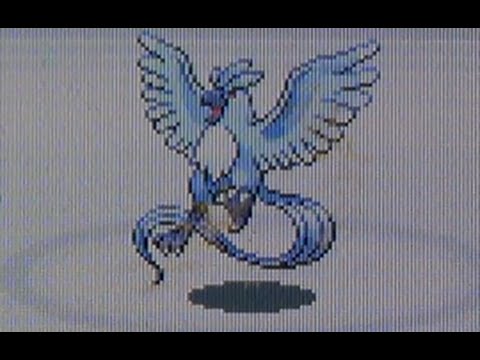 X 上的Robin：「OMG! What is this luck?! SHINY ARTICUNO on FireRed after only  686 SRs! @theSupremeRk9s @SmkGaming05 @Hound00med @TheUnderdog2020   / X