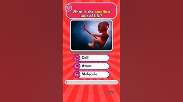2024 Science Quiz Challenge: Can You Beat This? 🧪 #1 #shorts #science #quiz