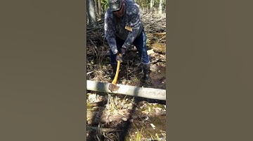 True Temper Kelly Perfect on beech