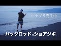 【パックロッドでショアジギ】 ナブラを撃ったらアレが釣れた！