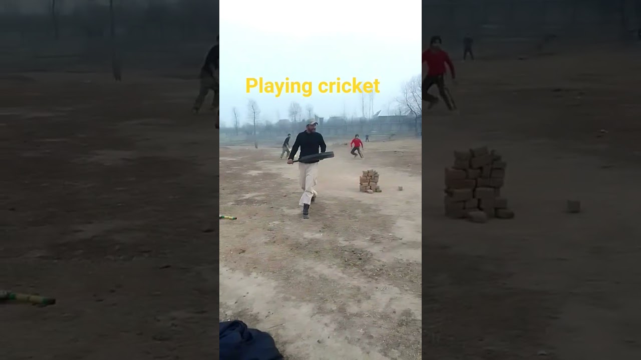 Cricket vlogs #cricketlover