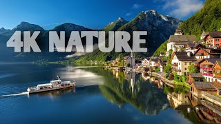 2 Minute Nature Video