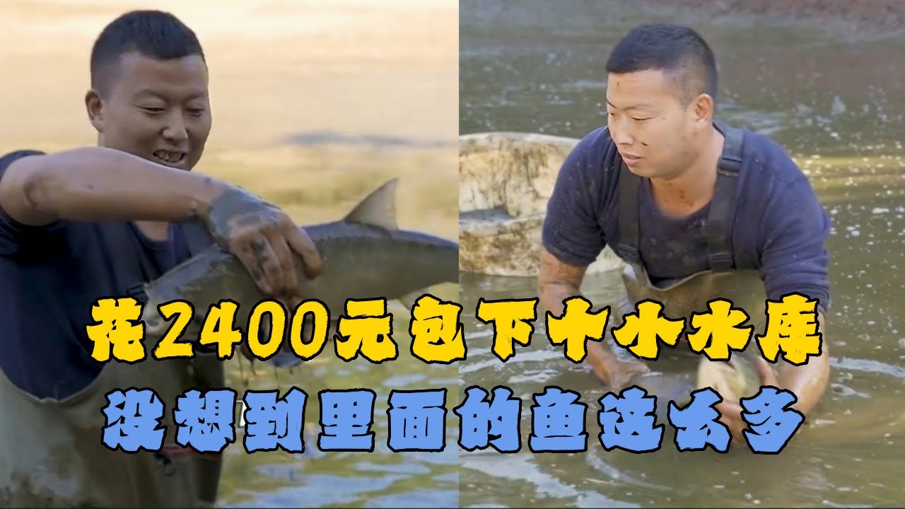花2400元包下个小水库，没想到里面的鱼这么多？#户外抓鱼 #户外捕鱼 #小飞哥抓鱼 #乡村生活 #农村生活