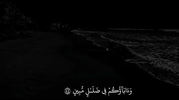 ﴿قالوا وَجَدنا آباءَنا لَها عابِدينَ﴾ احمد خضر - سورة الانبياء