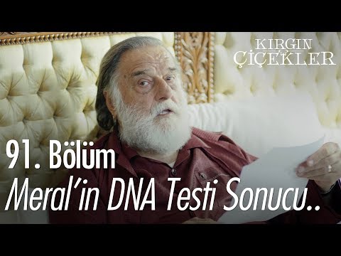 Meral'in DNA testi sonucu.. - Kırgın Çiçekler 91. Bölüm