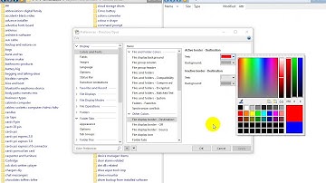 Directory Opus=coloring=file display border=destination