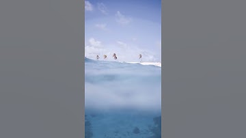 SplitShots Underwater LUTs - Visual Demo by Israel Gil